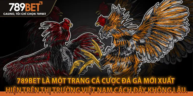 789BET là một trang cá cược đá gà mới xuất hiện trên thị trường Việt Nam cách đây không lâu.