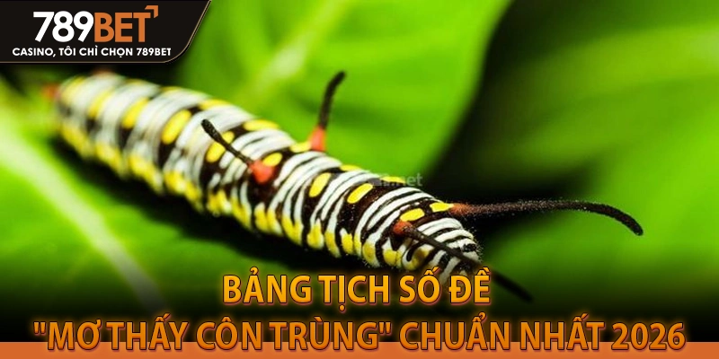 Bảng Tịch Số Đề "Mơ Thấy Côn Trùng"