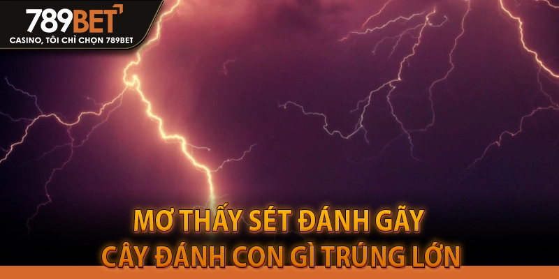 Mơ thấy sét đánh gãy cây đánh con gì trúng lớn