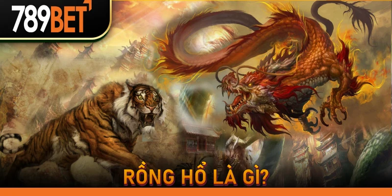 Rồng hổ là gì?