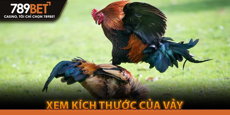 Xem kích thước của vảy